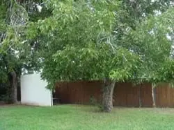 Our New Property!